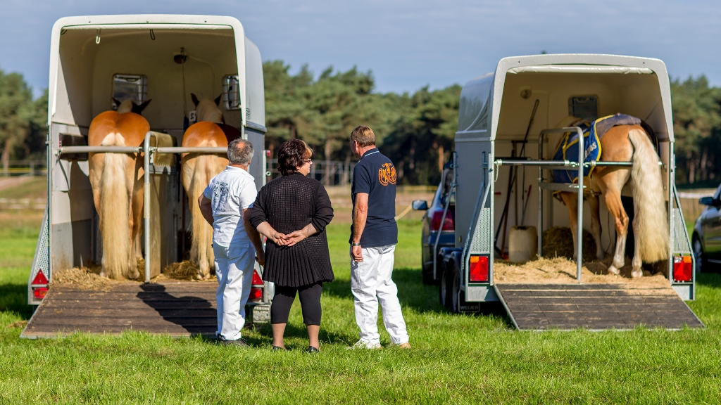 Lierop Fokpaardendag 2016 (75).jpg - Lierop Fokpaardendag 2016